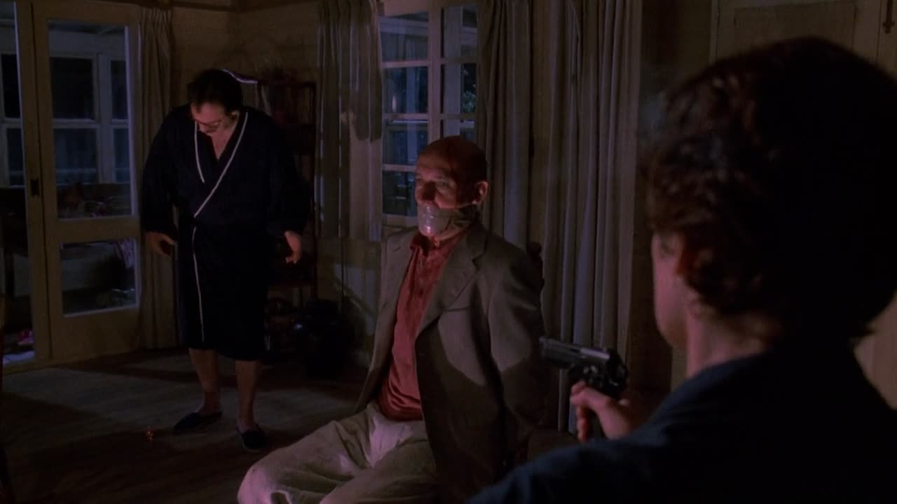 Death And The Maiden 1994