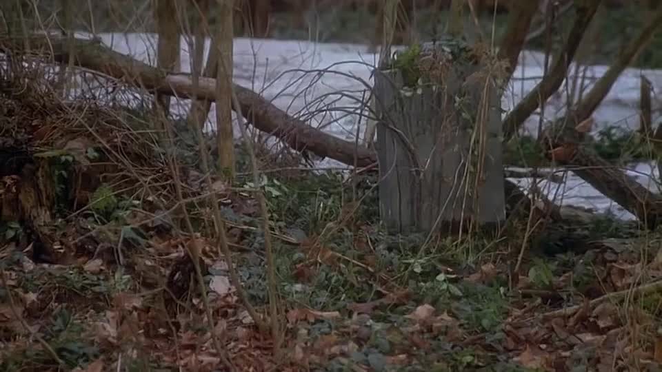 An American Christmas Carol -1979