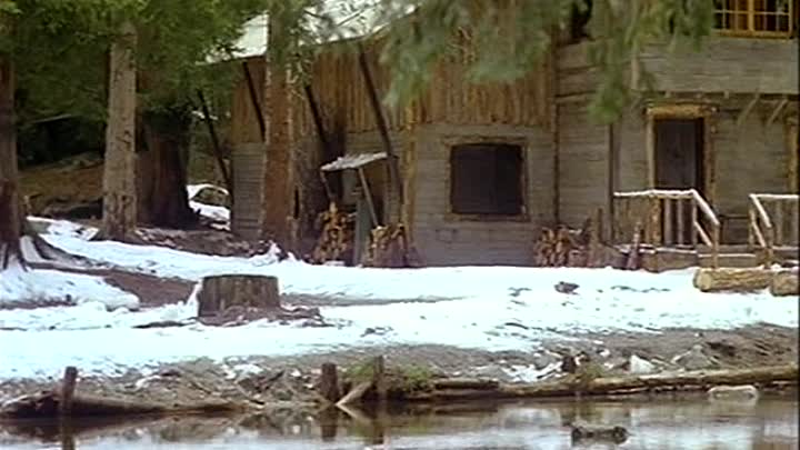 ⁣1977 - Dites-lui que je l'aime