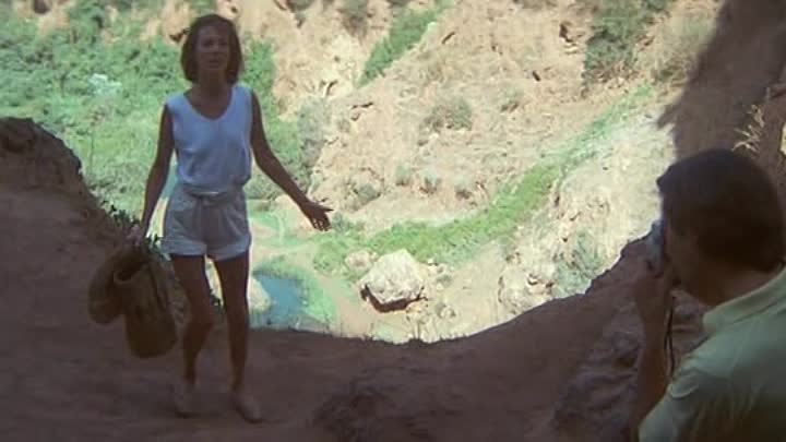 Le Garde Du Corps French Dvdrip XviD