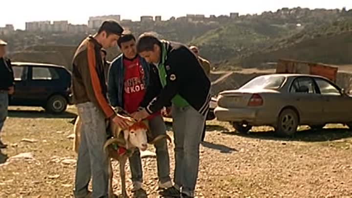 Gad Elmaleh - Bab El Web French Dvdrip XviD