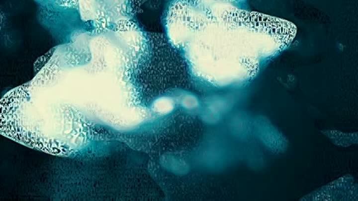 Gad Elmaleh - Ole French Dvdrip XviD