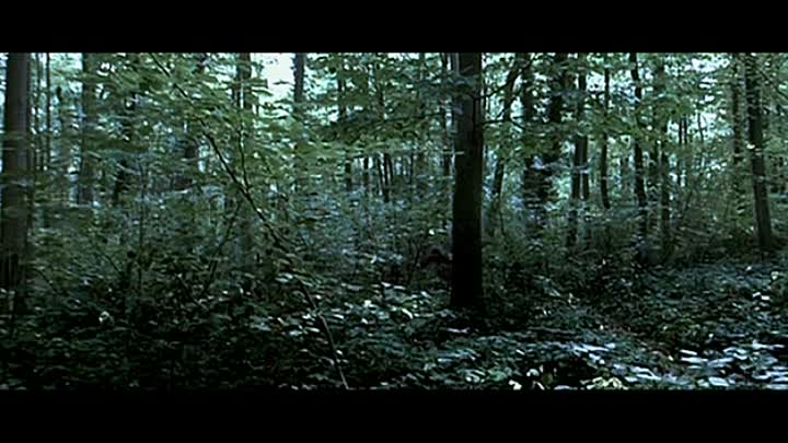 Ils French Dvdrip XviD