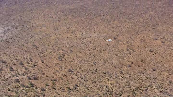 In the Footsteps of Elephant 2020 FRENCH HDRip XviD-EXTREME