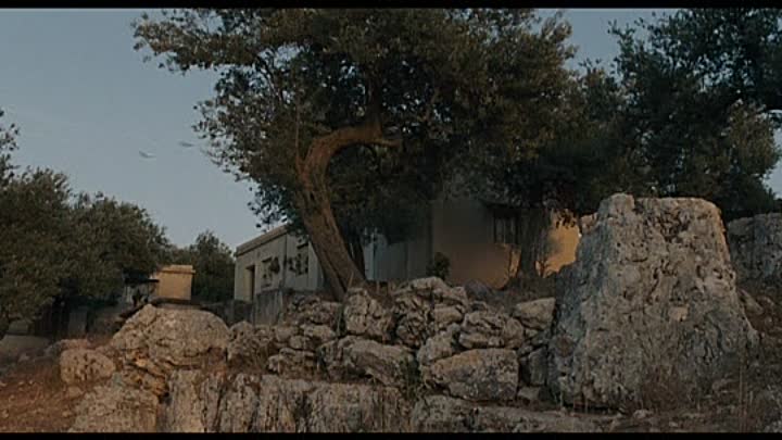 ⁣Incendies 2011 PROPER FRENCH DVDRip XviD-SolO