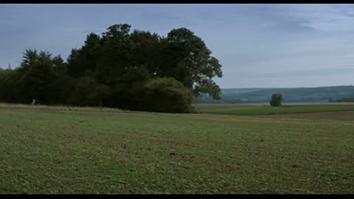 Je Te Survivrai 2014 FRENCH DVDRIP XVid-LYS