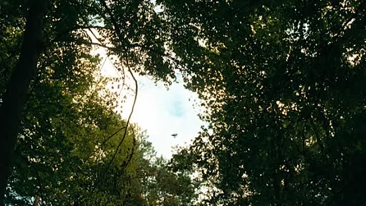 ⁣Hitler Est Kaput 2011 TRUEFRENCH DVDRip XViD-UTT