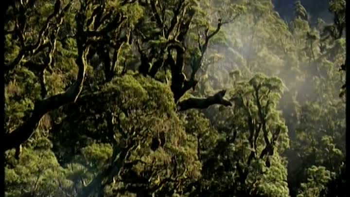 Home De Yann Arthus-Bertrand French Dvdrip XviD