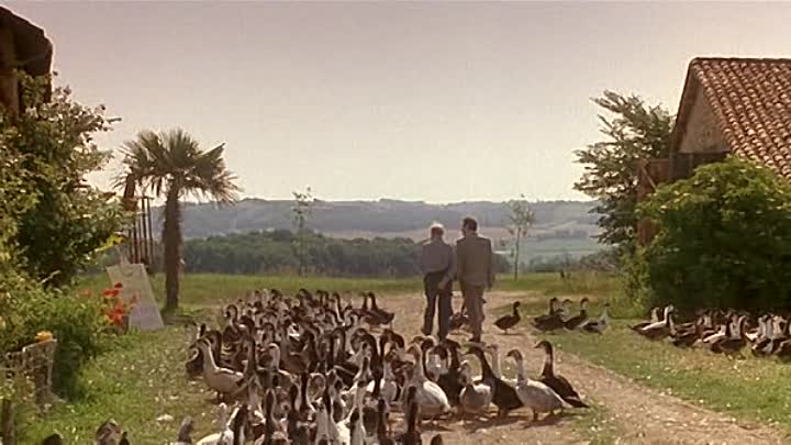 Le Bonheur Est Dans Le Pre French Dvdrip XviD