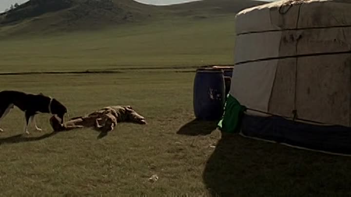 Le Concile de Pierre FRENCH DVDRiP XviD-JUSTiCETiME