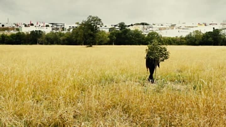 Le Grand Soir 2012 FRENCH BRRIP XviD-ArRoWs