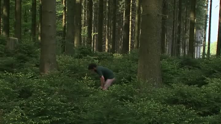 Le Grand Tour 2011 FRENCH DVDRiP XviD-scoubidou23