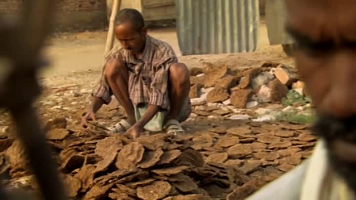 Le Premier Cri French Dvdrip XviD