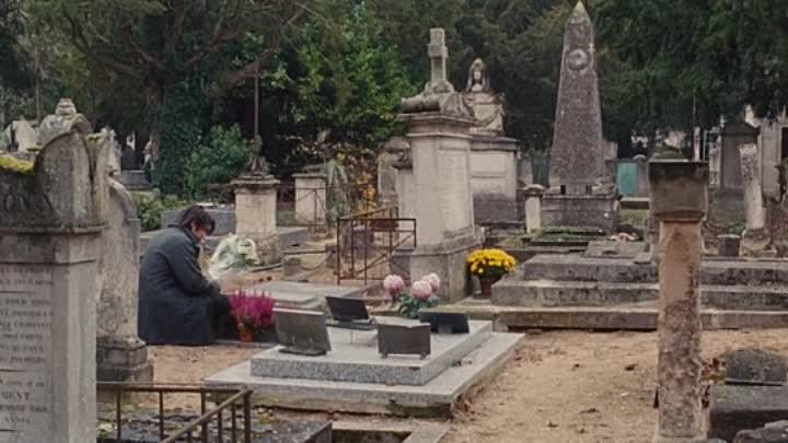 Les Biens Aimes 2011 FRENCH SUBFORCED BRRiP XviD-AUTOPSiE