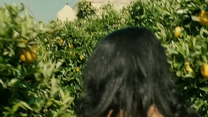 Les Citronniers FRENCH DVDRiP XviD-Riklis LcKtM