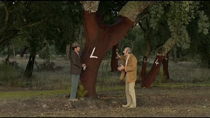 ⁣Les Grandes Ondes A L Ouest 2013 FRENCH DVDRip XviD-QCP