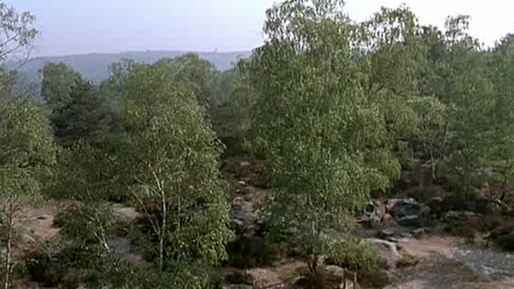 Les Randonneurs a Saint Tropez FRENCH DvdRip XviD-GUIKS