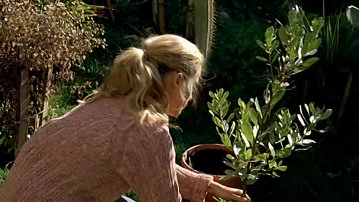 Lila Dit Ca French Dvdrip XviD