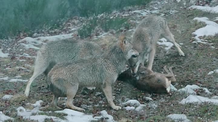 ⁣Mystere 2021 FRENCH BDRip x264-EXTREME