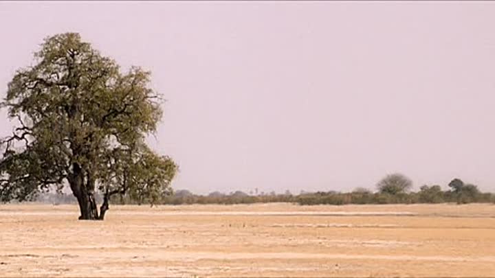 ⁣Namibia The Struggle for Liberation TRUEFRENCH DVDRip XviD-AC3-UTT