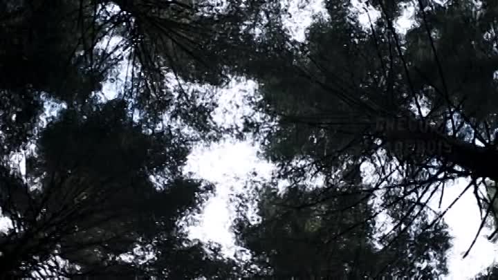 Nos Patriotes 2017 FRENCH BDRip XviD-GZR