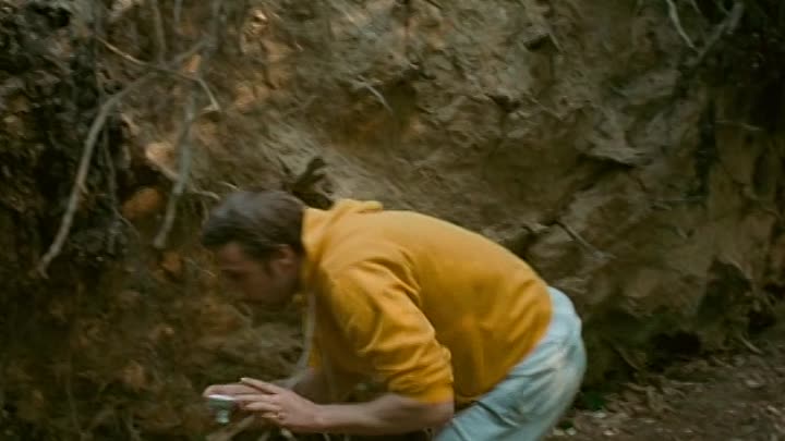 ⁣Pulsar 2010 FRENCH SUBFORCED FESTiVAL DVDRip XviD