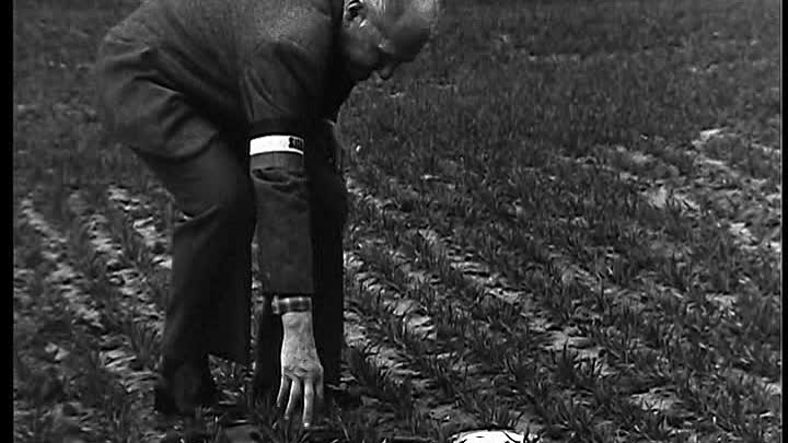 ⁣Poelvoorde - Court-Metrage - Le Signaleur French Dvdrip DivX