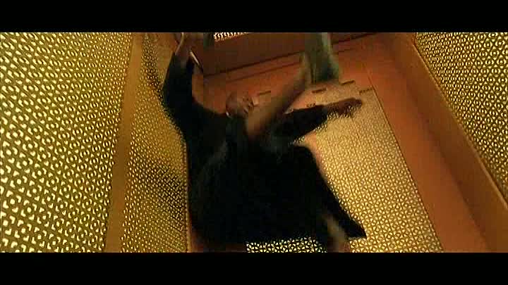 Poelvoorde - 2002 Le Boulet French DVDRip XviD-Tallyortoby