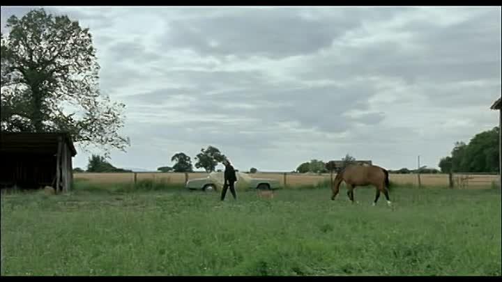 Quand J Etais Chanteur French Dvdrip XviD