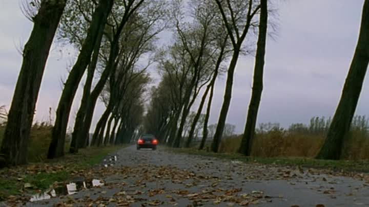 Quand La Mer Monte French Dvdrip XviD