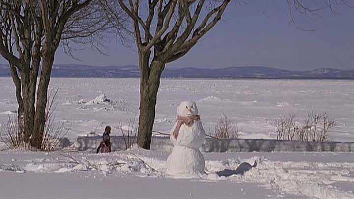 Serveuses Demandees 2008 FRENCH DVDRip XviD