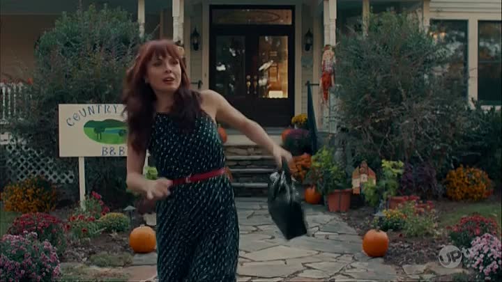 Plus One At An Amish Wedding 2022 UpTV HDTV H264-RBB