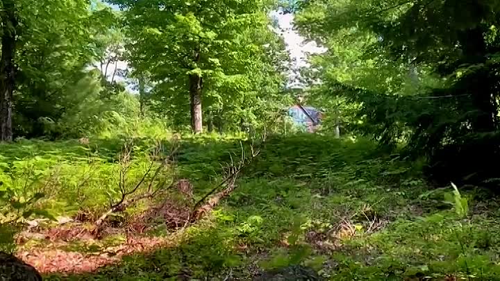 Prince Andrew Banished 2022 WEBRip x264-ION10