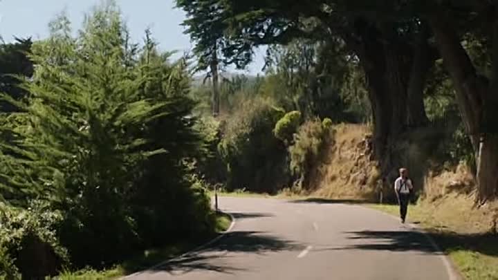 Pork Pie 2017 BRRip XviD AC3-EVO