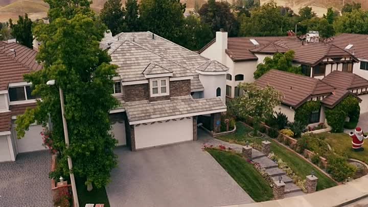 Pups Alone 2021 HDRip XviD AC3-EVO