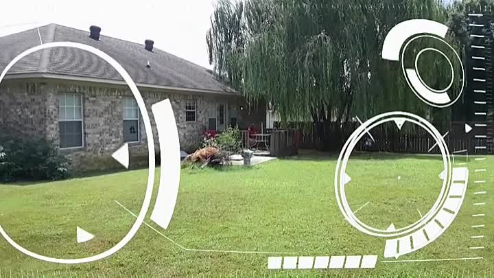 R E G I N A I Am 2020 HDRip XviD AC3-EVO