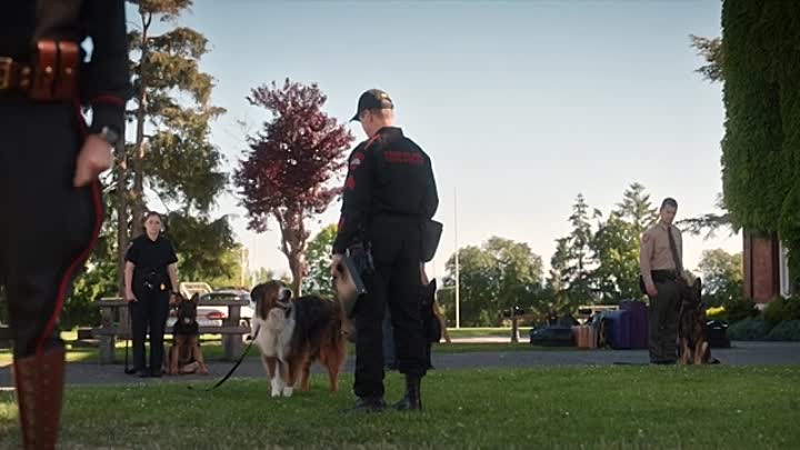 ⁣Rescued by Ruby 2022 HDRip XviD AC3-EVO