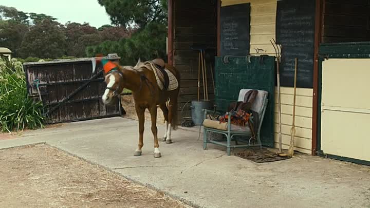 Ride Like a Girl 2019 BDRip XviD AC3-EVO