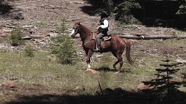 Righteous Blood 2021 HDRip XviD AC3-EVO