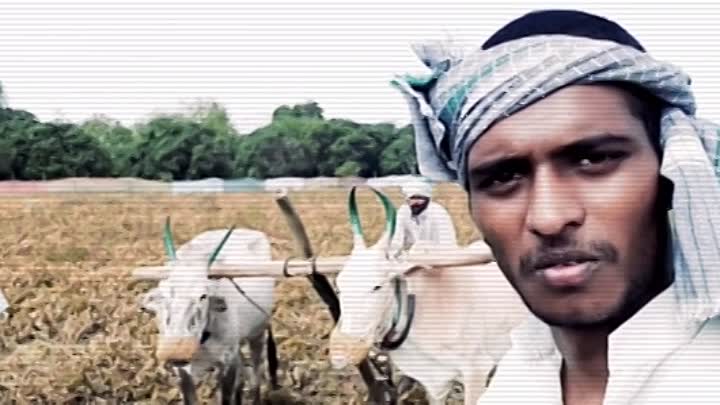 Risen 2021 HDRip XviD AC3-EVO