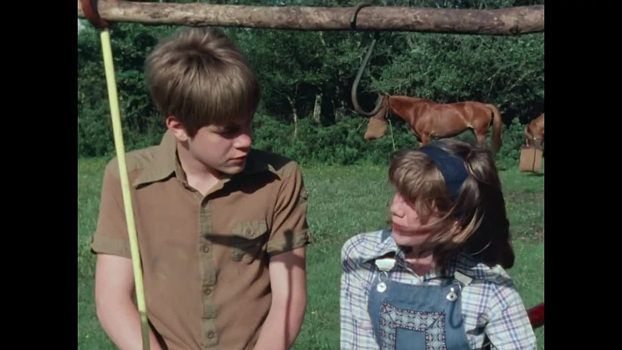 Five go off in a Caravan S01E06 (1970)