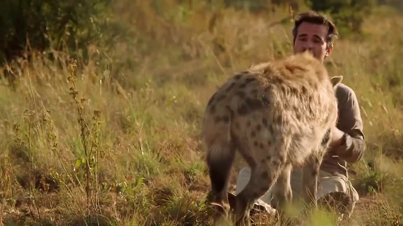 ⁣Can Animals Have Friendships With Humans?