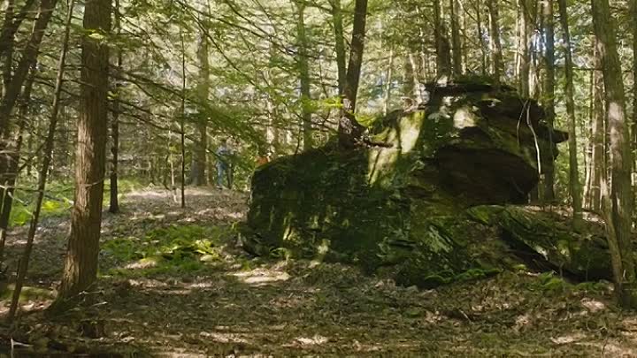 Save Yourselves 2020 BDRip XviD AC3-EVO