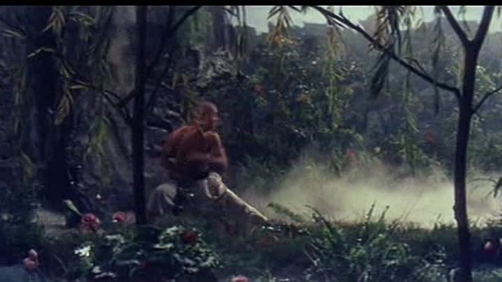 ⁣Shaolin Temple 1982 DVDRip Divx