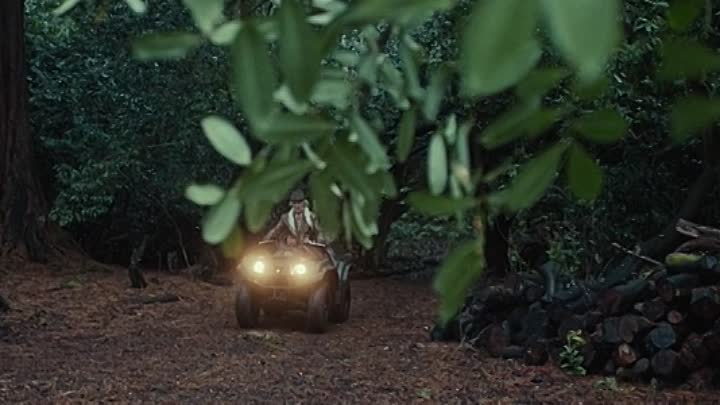 She Will 2022 HDRip XviD AC3-EVO