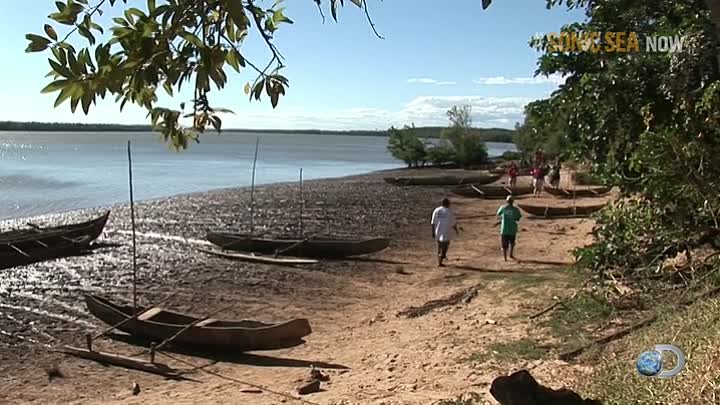 ⁣Sonic Sea 2016 HDTV x264-W4F