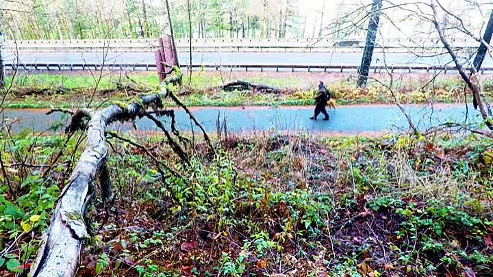 ⁣Soul Pursuit 2021 HDRip XviD AC3-EVO