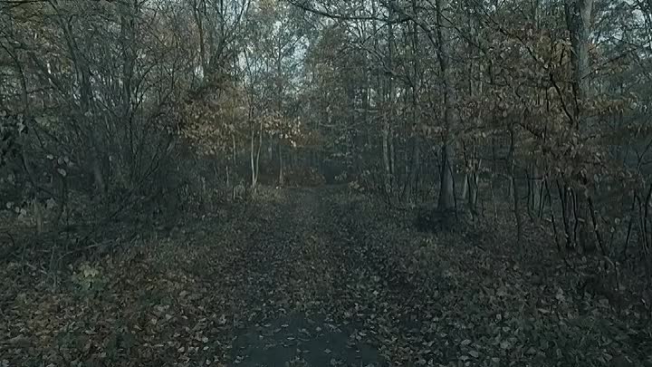 ⁣Spirits In The Dark 2020 HDRip XviD AC3-EVO