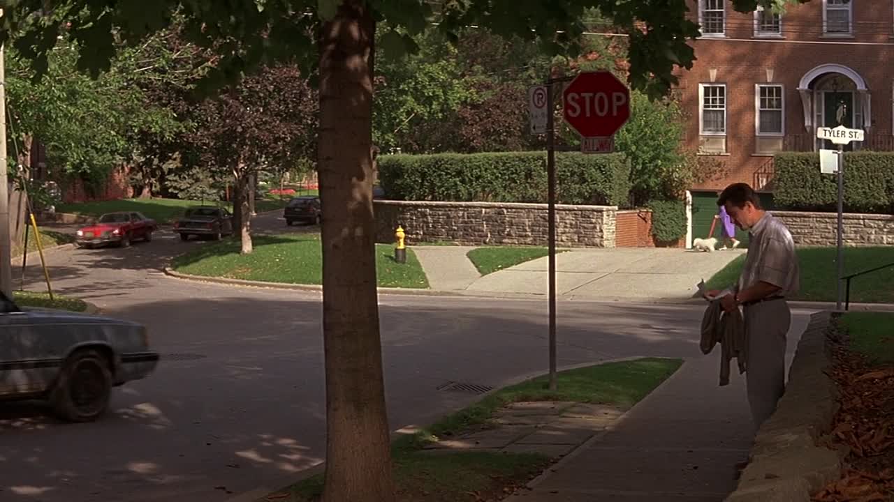 Stanley Iris 1990 1080p BluRay x264 AAC-