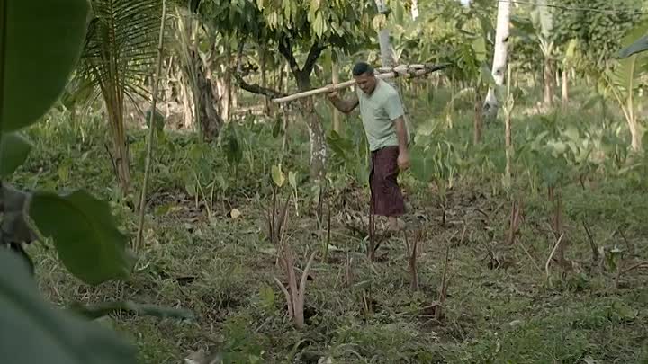 Take Home Pay 2019 BDRip XviD AC3-EVO